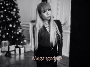 Megangodnes