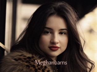Meghanbarns