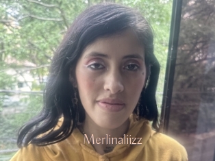 Merlinaliizz