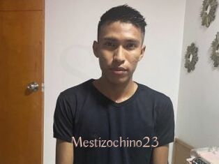 Mestizochino23