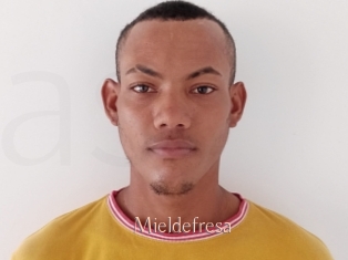 Mieldefresa