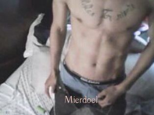 Mierdoel