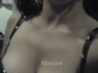 mintbird Anal Sexe