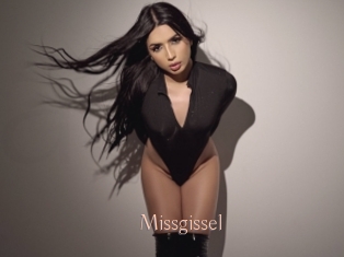 Missgissel