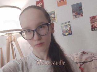 Moirecaudle