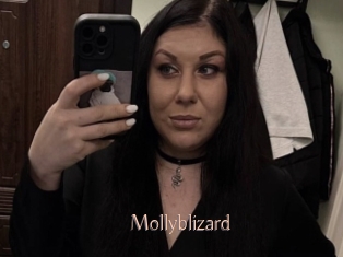 Mollyblizard