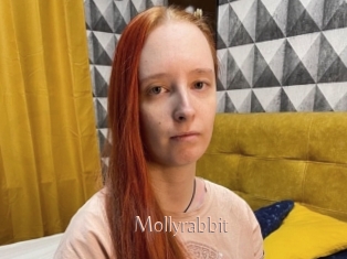 Mollyrabbit