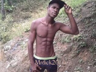 Mrdick20cm