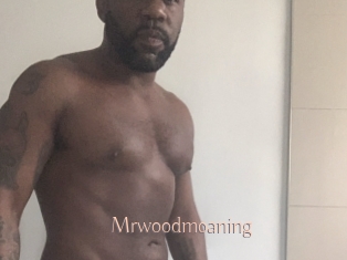 Mrwoodmoaning