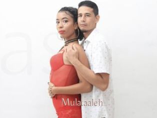 Mulataaleh