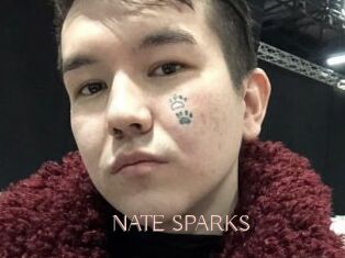NATE_SPARKS