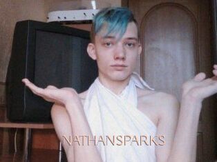 NATHAN_SPARKS
