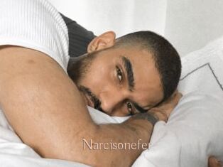 Narcisonefer