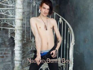 NaughtyBunnyBoy Anal Sexe
