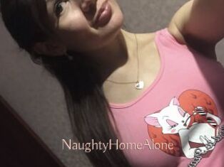 NaughtyHomeAlone