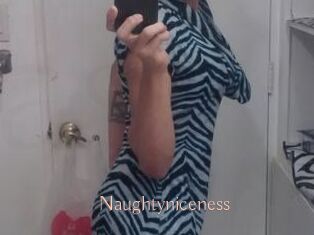 Naughtyniceness