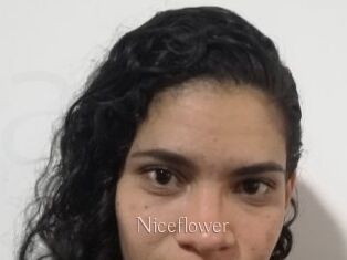 Nice_flower