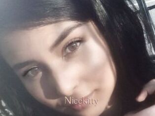 Nicekitty