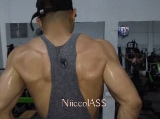 NiiccolASS