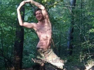 NinjaDickstroyr