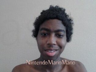 NintendoMarioMario
