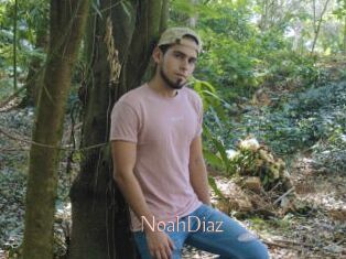 NoahDiaz