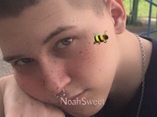 NoahSweet