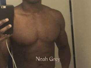 Noah_Grey