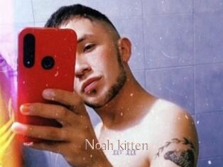Noah_kitten