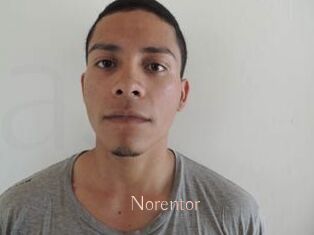 Noren_tor
