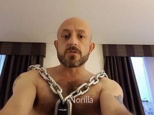 Norilla Anal Sexe