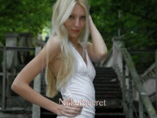 Nakedsecret