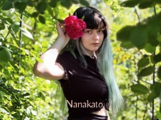 Nanakato