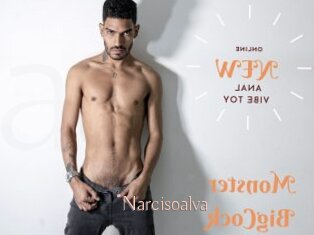 Narcisoalva