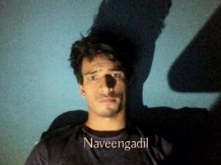 Naveengadil