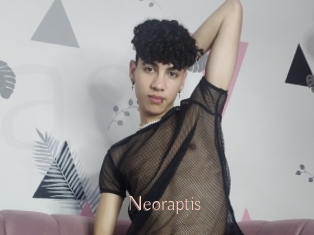 Neoraptis