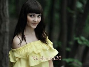 Nicekarina20