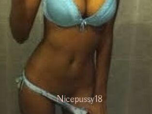 Nicepussy18