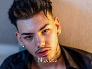 Nigelsoul