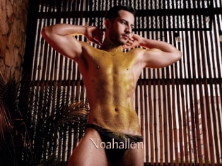 Noahallen