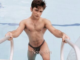 Noaheden