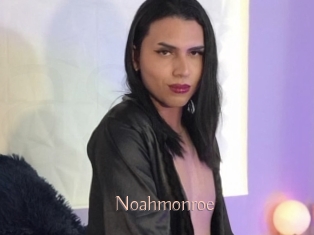 noahmonroe Anal Sexe