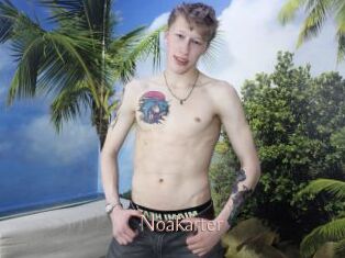 Noakarter