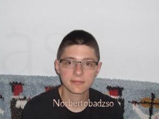 Norbertobadzso