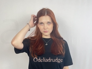 Odeliadrudge