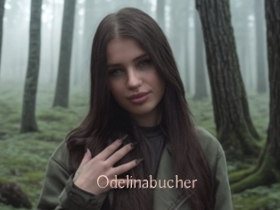 Odelinabucher