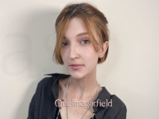 Odelinagarfield