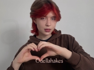 Odellahakes