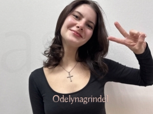 Odelynagrindel