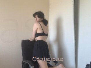 Odettacaecus